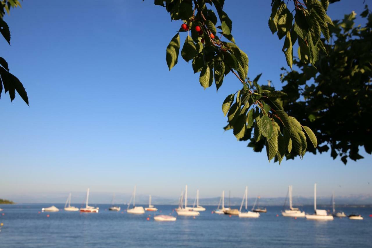 Ferienwohnungen Der Loewen Hagnau am Bodensee Exterior foto